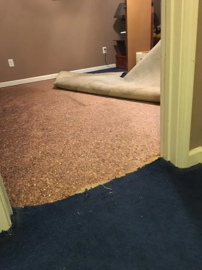 Carpet pad removal revealing water damage during Drying & Dehumidification in Wayne